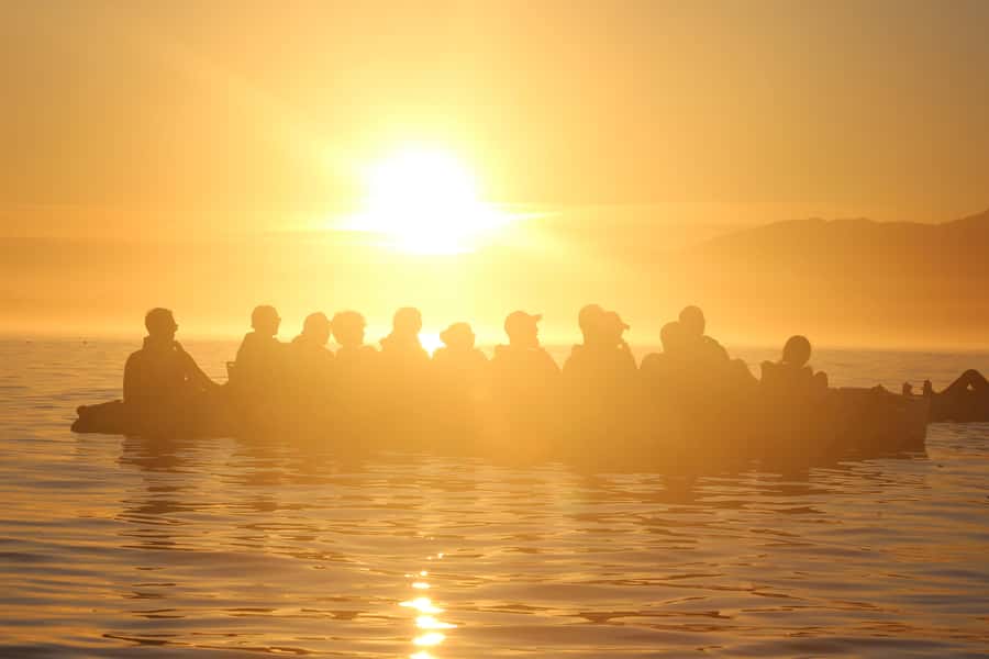 Kaikōura: Kayak Sunset Tour with Seal Sightings - Watching Kekeno in Their Coastal Home