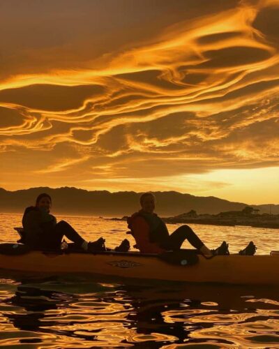 Kayak Sunset Tour with Seal Sightings