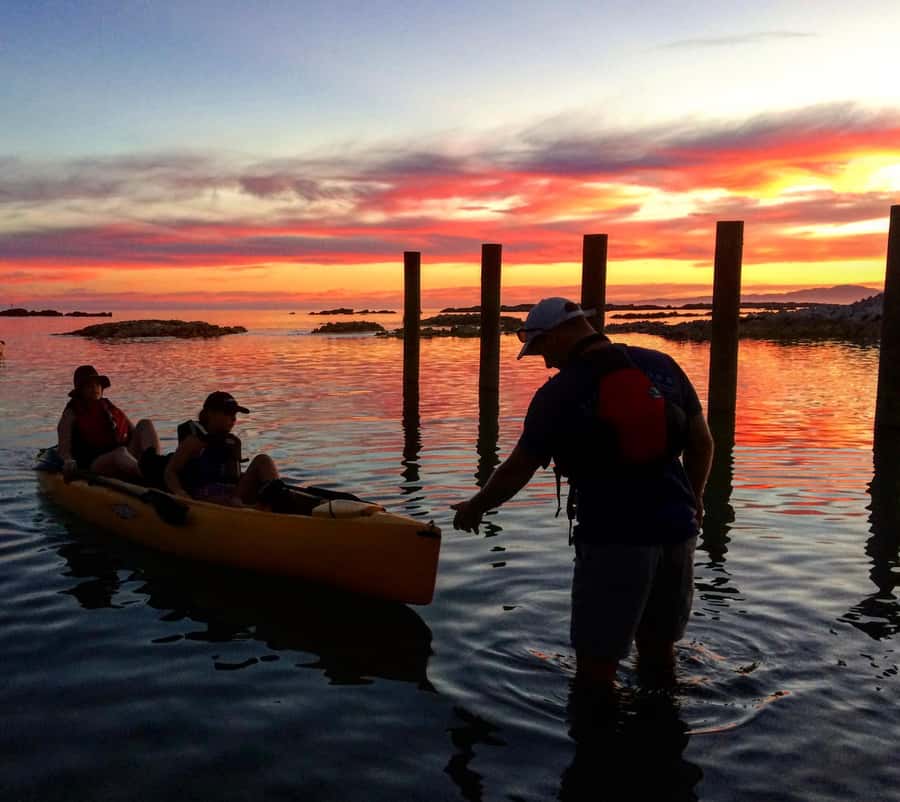 Kaikōura: Kayak Sunset Tour with Seal Sightings - What Choppy Water Means for Comfort