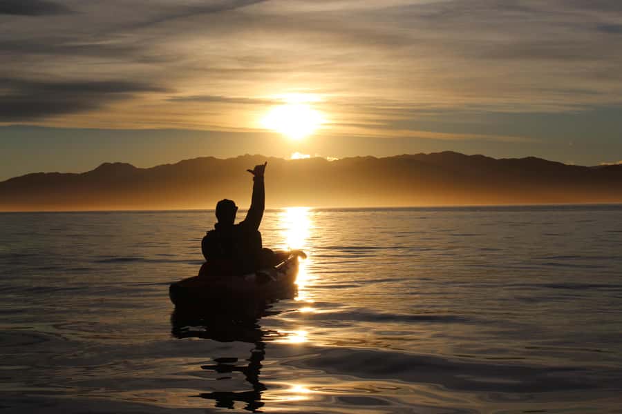 Kaikōura: Kayak Sunset Tour with Seal Sightings - Booking Details That Matter