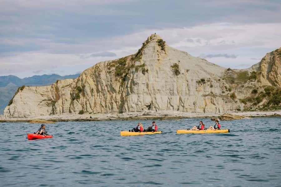 Kaikoura: Seal-Watching Pedal Kayak Tour - Small details that make the day easier
