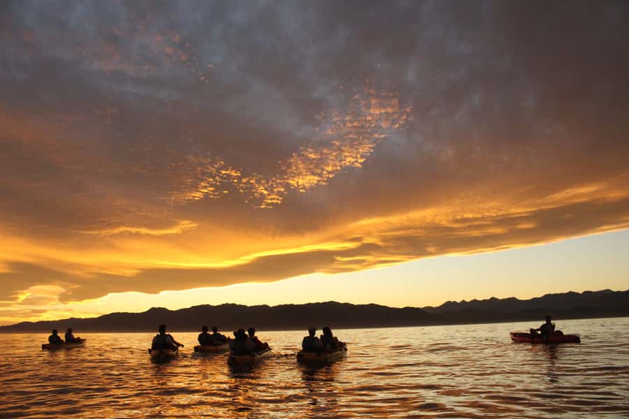 Kaikoura: Seal-Watching Pedal Kayak Tour - Is $83 a fair price?