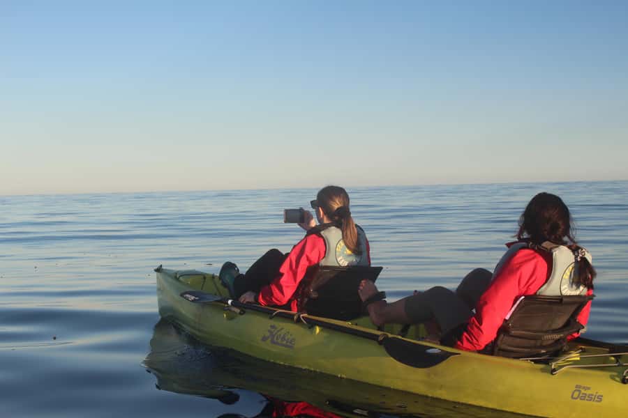 Kaikoura: Seal-Watching Pedal Kayak Tour - Who will enjoy this most