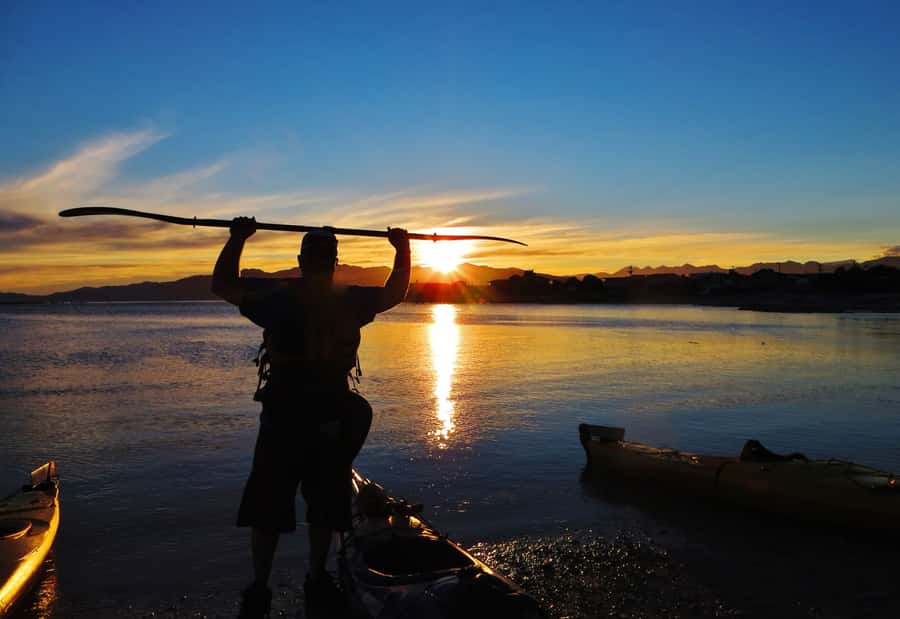 Kaikoura: Sunset Evening Kayaking Tour - Extra wildlife, from dolphins to penguins