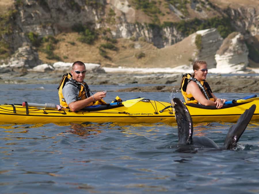 Kaikoura: Sunset Evening Kayaking Tour - Comfort, safety, and the limits of the experience