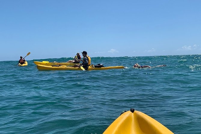 Kailua 2-Hour Guided Kayaking Excursion, Oahu - Conditions, clothing, and practical limits