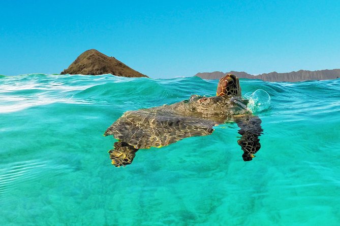 Kailua Bay, Oahu: Epic Kayak and Snorkel to Islands - Paddling along Lanikai Beach