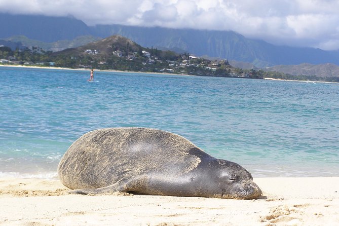 Kailua Bay, Oahu: Epic Kayak and Snorkel to Islands - What the lunch and equipment add to the value