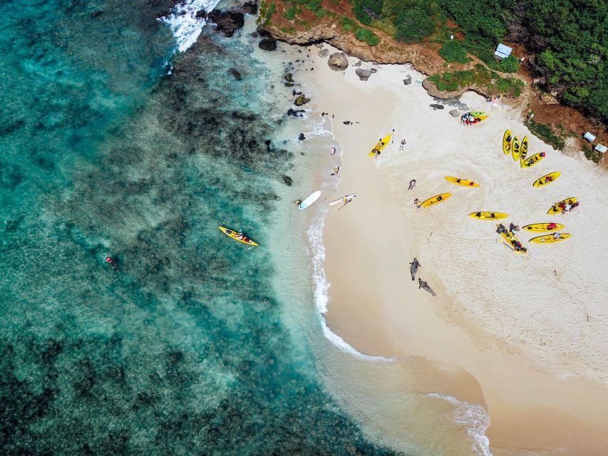 Kailua: Mokulua Islands Guided Kayak and Snorkeling Tour - Who will enjoy this Kailua kayak tour?