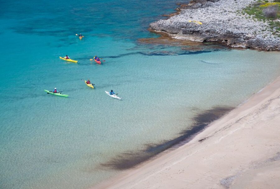 Kardamyli: Sea Kayaking With Lunch - What the $94 price includes