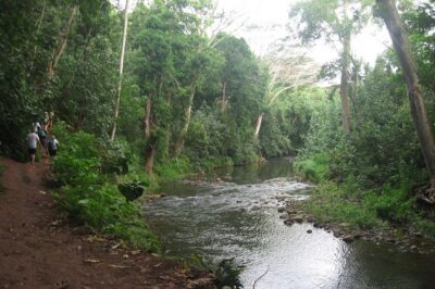 Kayak & Hike to Secret Falls with Expert Guide