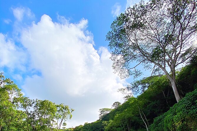 Kauai Adventure: Kayak & Hike to Secret Falls with Expert Guide - How hard is the five-hour outing?