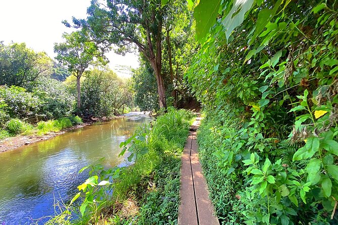 Kauai Adventure: Kayak & Hike to Secret Falls with Expert Guide - What the $140 price includes