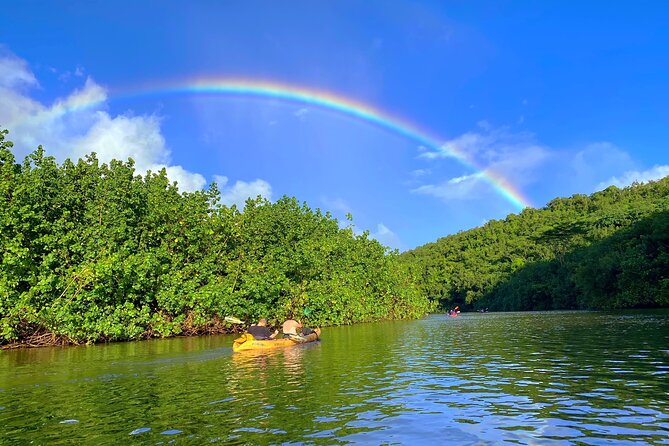 Kauai Adventure: Kayak & Hike to Secret Falls with Expert Guide - Who should book this Kauai adventure?