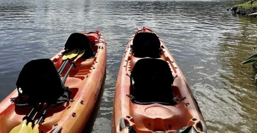 Kauai: Guided Kayak and Hike to Secret Falls - Why the Wailua River is the right place for a first kayak trip