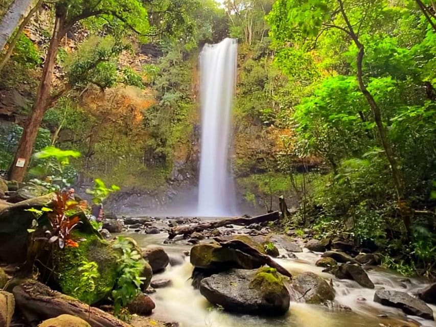 Kauai: Guided Kayak and Hike to Secret Falls - Is $118 a fair price?