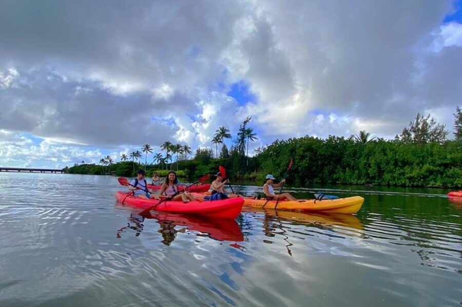 Kauai: Guided Kayak and Hike to Secret Falls - Who should book this Kauai adventure?