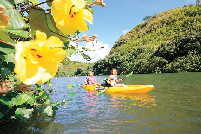 Kauai: Secret Falls Kayak and Hike - What you are paying for at $125
