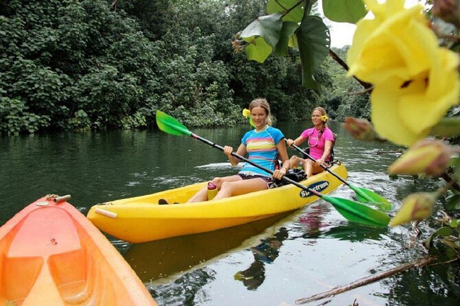 Kauai: Secret Falls Kayak and Hike - Uluwehi Falls: beautiful, wet, and busier than the name suggests