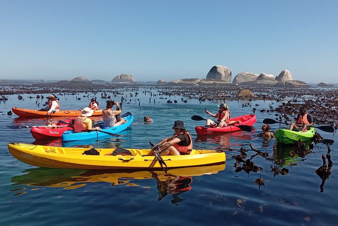 Kayak Adventure at Clifton Beach - A relaxed return to Clifton 4th Beach