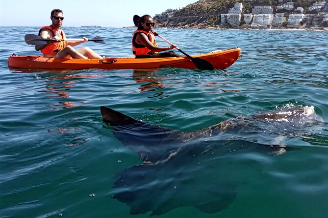 Kayak Adventure at Clifton Beach - The guides and the tone of the outing