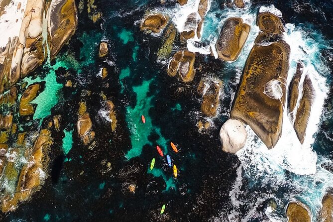 Kayak Adventure at Clifton Beach - Is $28.86 good value?