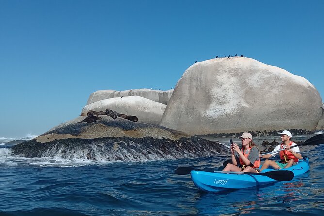 Kayak Adventure at Clifton Beach - Who will enjoy this Clifton kayak trip most?