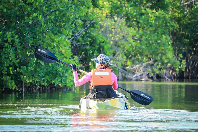 Kayak Adventure in Cancun - Wildlife watching requires patience