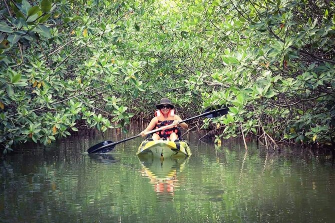 Kayak Adventure in Cancun - A simple way to get more from the two hours