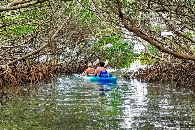 Kayak Adventure of Shell Key Preserve & Island with a Local - Starting in Tierra Verde at 9 a.m.