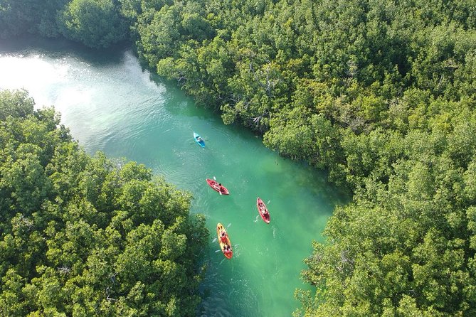 Kayak adventure through Laguna Nichupté in Cancun - Starting at Conexión Nativa Cancún
