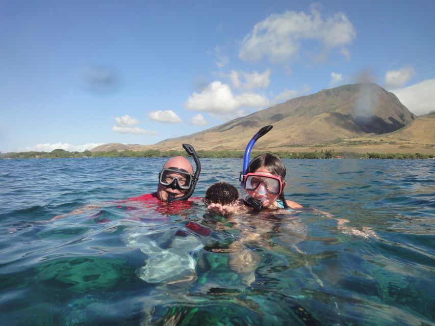 Kayak and Snorkel West Maui at Olowalu - Who should book this Olowalu outing