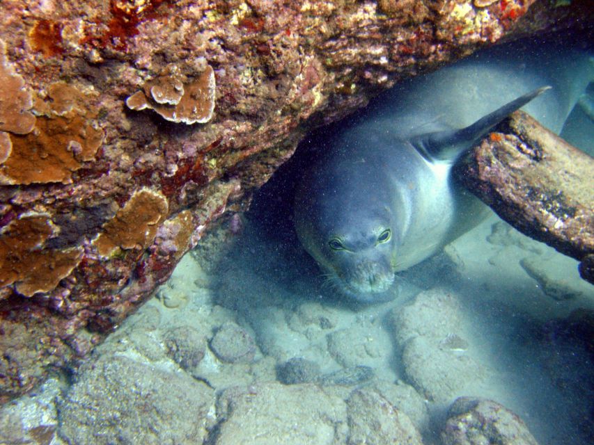 Kayak and Snorkel West Maui at Olowalu - Practical details for a smoother morning