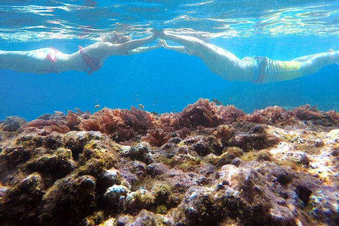 Kayak and Snorkeling Tour in Underwater Nature Reserve Garajau - How suitable is it for beginners?