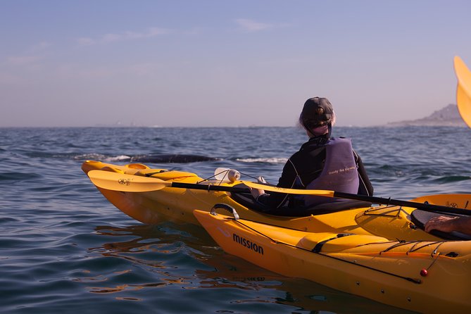 Kayak Chapman's Peak and Karbonkelberg in Hout Bay - Beneath the cliffs of Chapman’s Peak