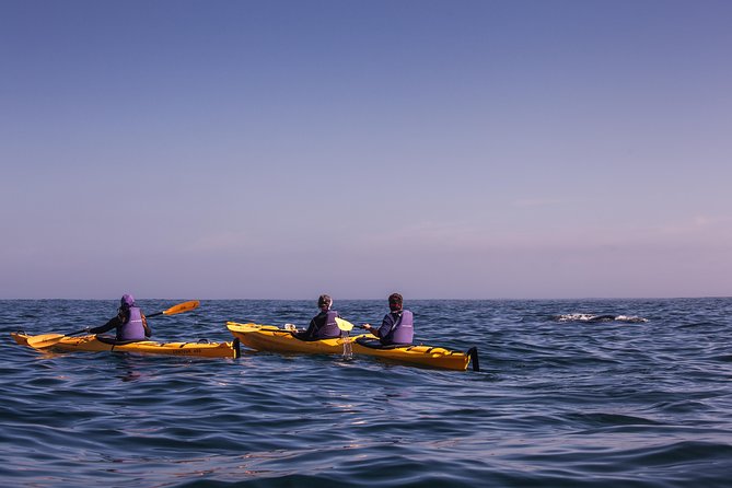 Kayak Chapman's Peak and Karbonkelberg in Hout Bay - What to wear and pack for the Cape water