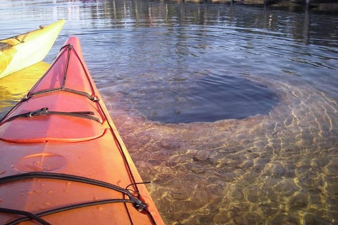 Kayak Day Paddle on Yellowstone Lake - Why Yellowstone Lake looks better from a kayak