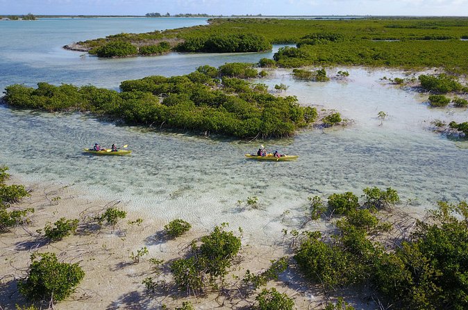 Kayak Eco Tour - What the $296 price includes