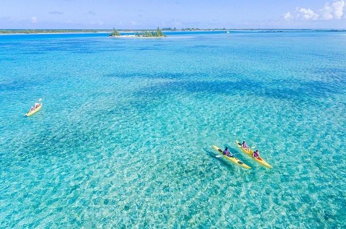 Kayak Eco Tour - Weather, currents and the right level of effort