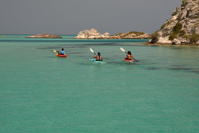 Kayak Eco Tour - Paddling through a living nursery