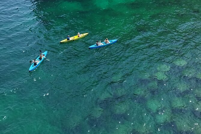 Kayak excursion in Polignano a Mare - Is $47.47 a fair price?