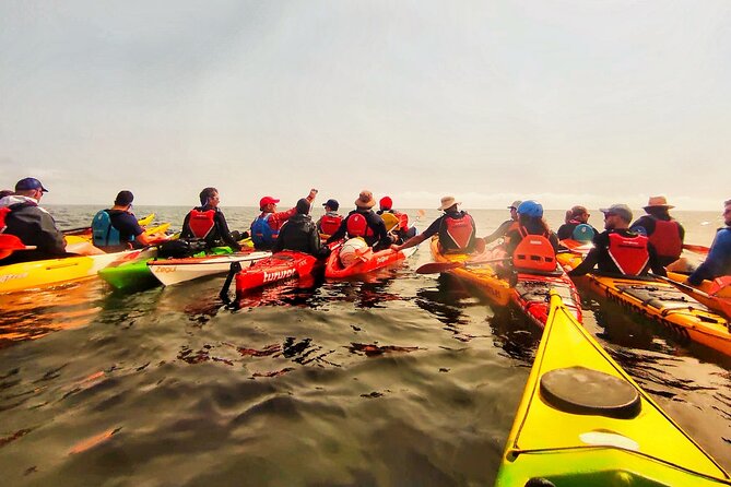 Kayak excursion to Cova dels Coloms from Platja Mascarat - What to bring for a safer, better outing