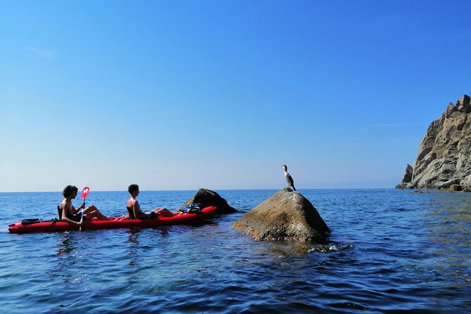 Kayak experience with Carnassa Tour in Cinque Terre + Snorkeling - Guides who make the trip work