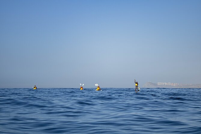 Kayak from Viudas Beach to Chileno Bay & Snorkel + Beach Time - Who will enjoy this Cabo morning most