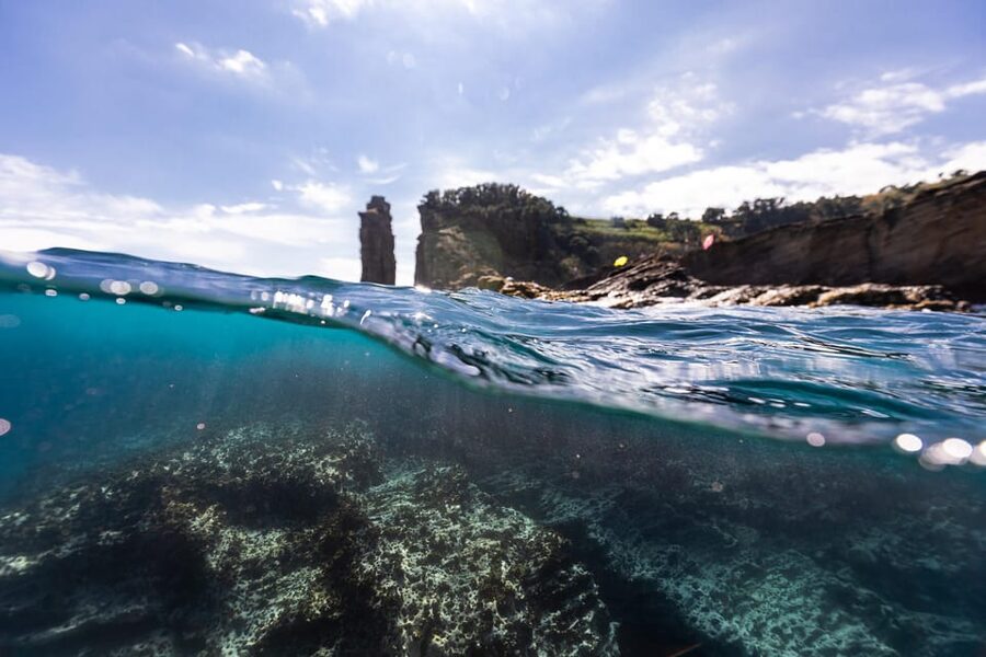 Kayak Guided Tour: Vila Franca do Campo Islet - Should You Book the Vila Franca Kayak Tour?