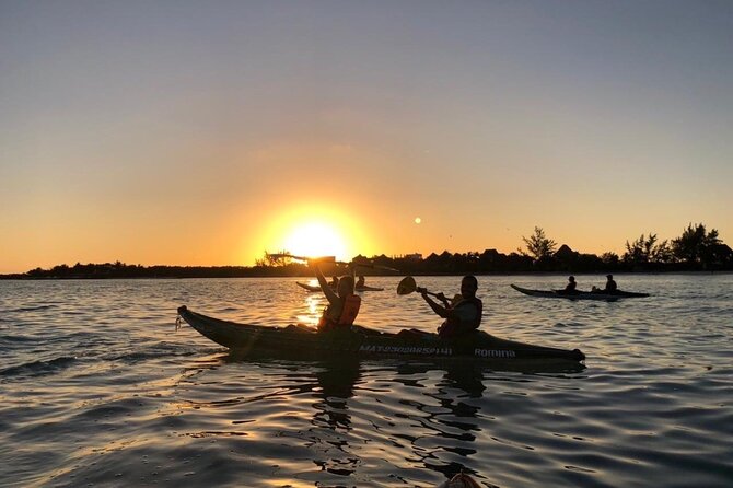 Kayak Mangroves Sunrise Experience - Entering the Yum Balam mangrove channels