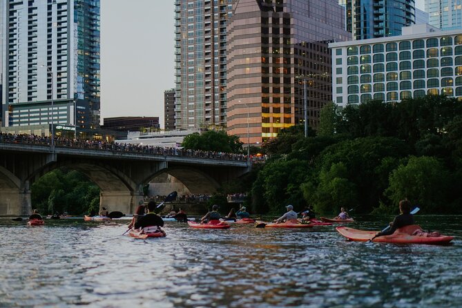 Kayak or Paddle Board Sunset Bat Tour - Kayak or paddleboard: which should you choose?