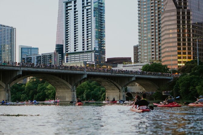 Kayak or Paddle Board Sunset Bat Tour - Price and overall value