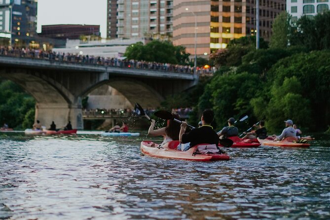 Kayak or Paddle Board Sunset Bat Tour - Timing, transport, and cancellation