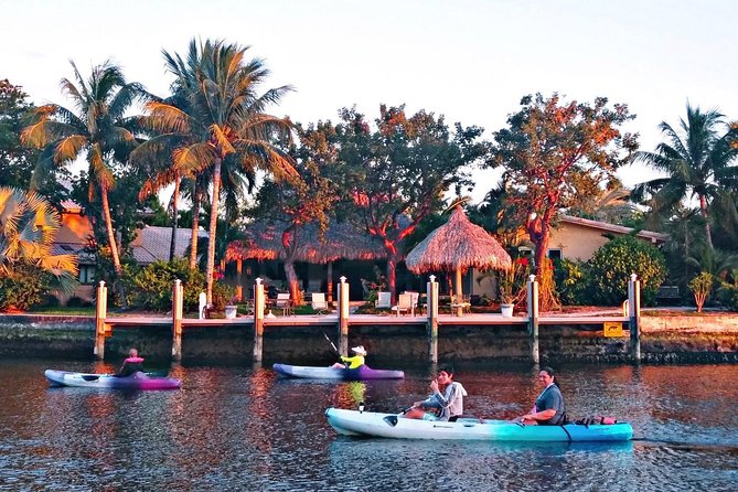Kayak Rental: Explore Mangroves and Self-Navigated River Eco Paddle - Key points to know before you book
